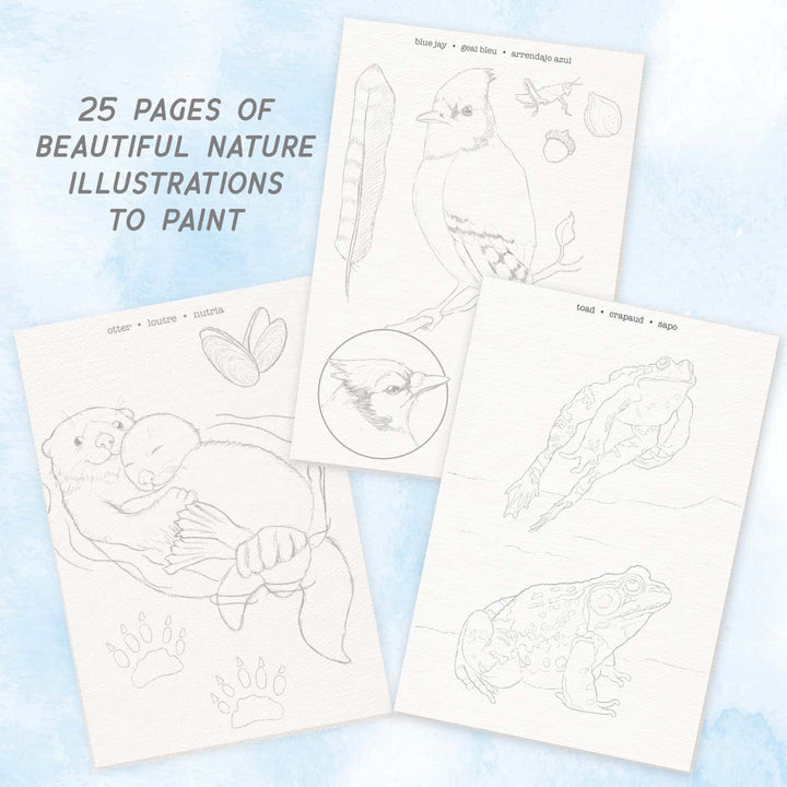 Watercolor Journal Fauna