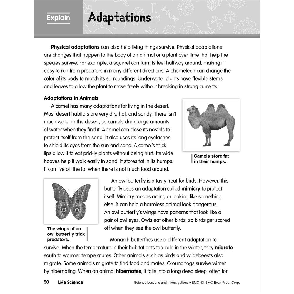 SCIENCE: Lessons and Investigations - Grade 3 Paperback - Tools 4 Teaching