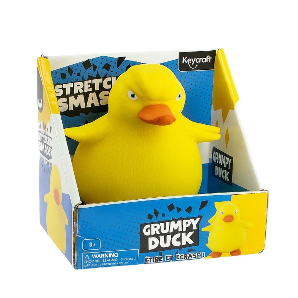 Stretch N Smash Grumpy Duck - Tools 4 Teaching