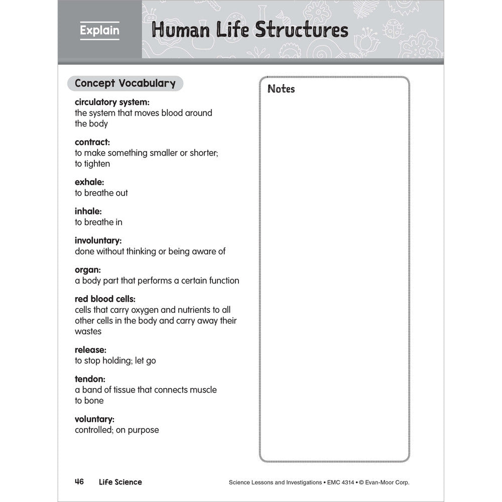 SCIENCE: Lessons and Investigations - Grade 4 Paperback - Tools 4 Teaching