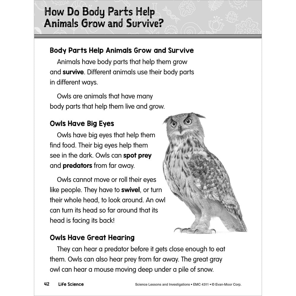 *SCIENCE Lessons and Investigations - Grade 1 Paperback - Tools 4 Teaching