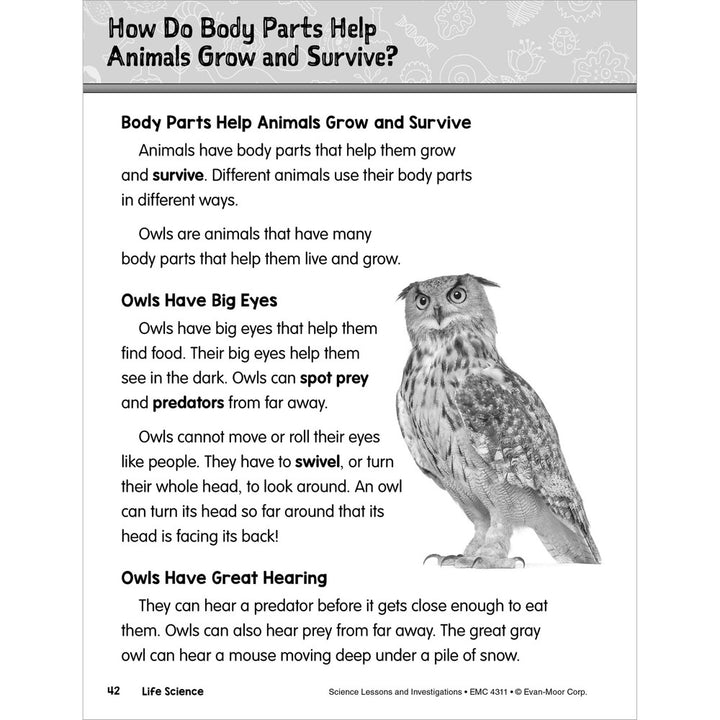 *SCIENCE Lessons and Investigations - Grade 1 Paperback - Tools 4 Teaching