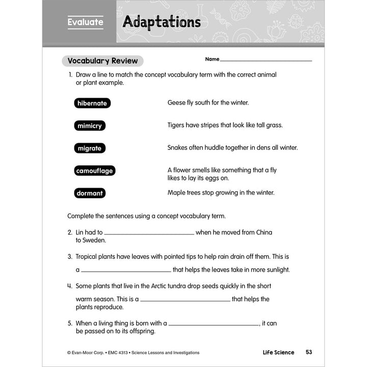 SCIENCE: Lessons and Investigations - Grade 3 Paperback - Tools 4 Teaching