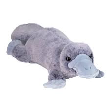 Allie Platypus Soft Plush-Baby & Toddler-Tools 4 Teaching-Classroom Decor and More