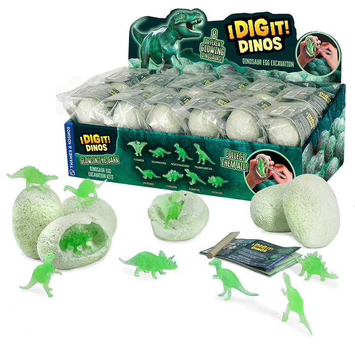 I Dig It! Glow In The Dark Dino Egg - Tools 4 Teaching