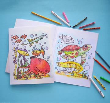 Color Craze Ocean-Activity Pads-Tools 4 Teaching-Classroom Decor and More