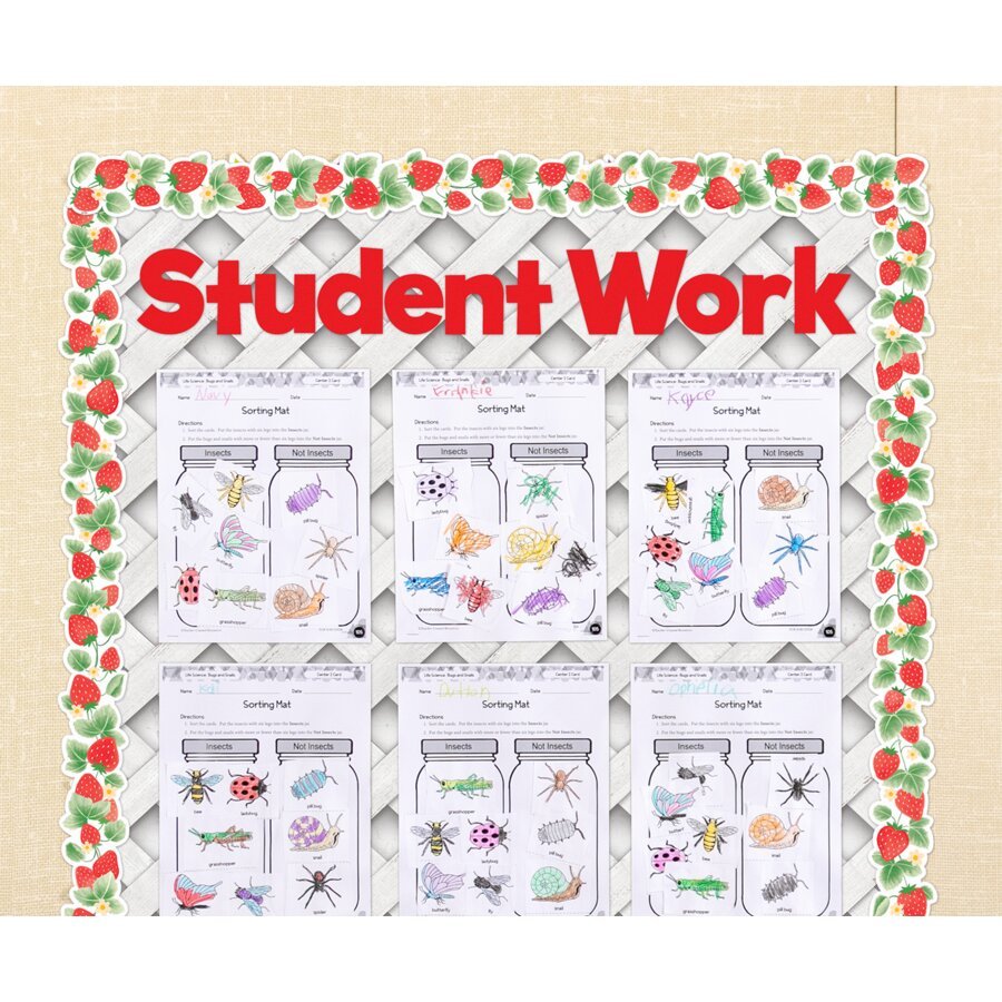 Red 4" Everyday Letters Combo Pack