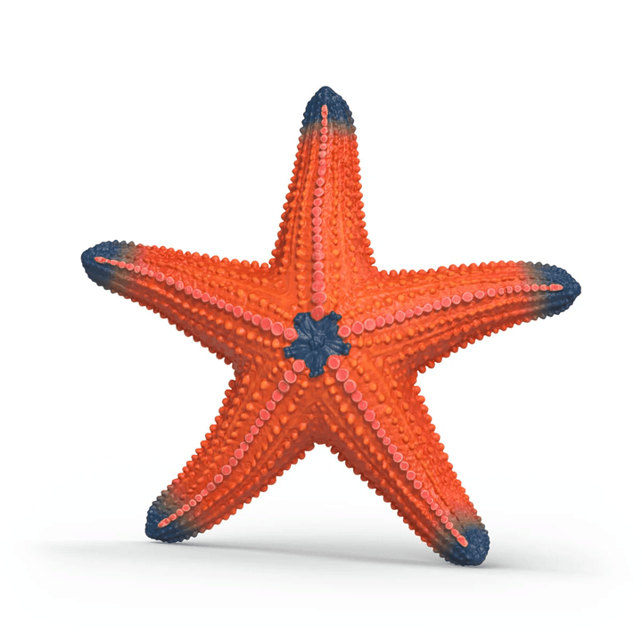 Color Changing Star Fish-Schleich USA-Tools 4 Teaching-Classroom Decor and More