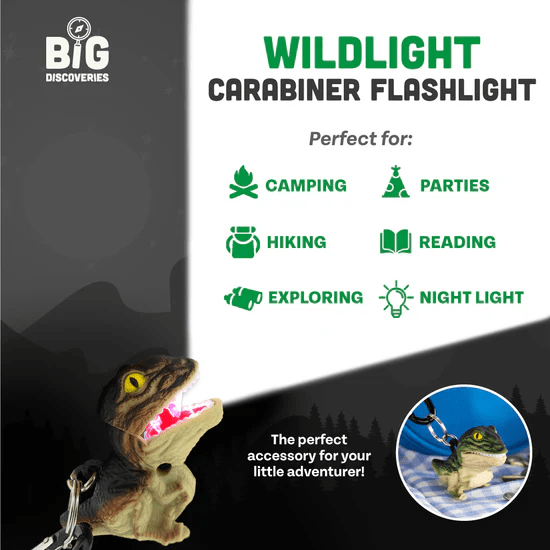 Wildlight T-rex Green-Fidgets-Tools 4 Teaching-Classroom Decor and More