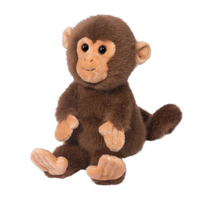 Skip Monkey - Tools 4 Teaching