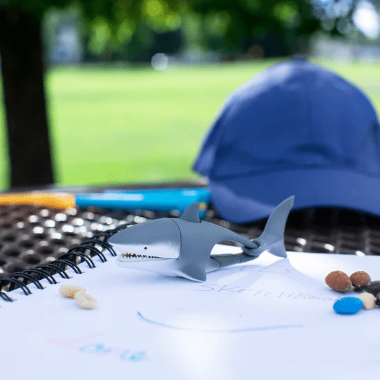 Lifelight Shark-Fidgets-Tools 4 Teaching-Classroom Decor and More