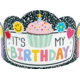 Cool for School It's My Birthday Crowns - Tools 4 Teaching