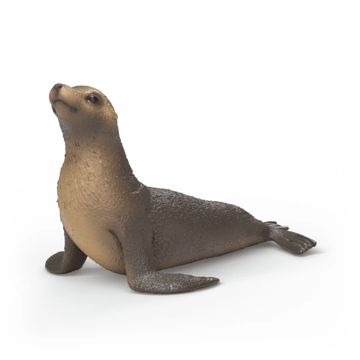 Sea Lion-Schleich USA-Tools 4 Teaching-Classroom Decor and More