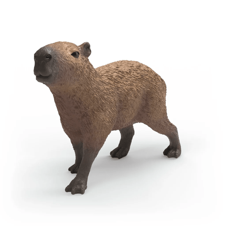 Capybara-Schleich USA-Tools 4 Teaching-Classroom Decor and More