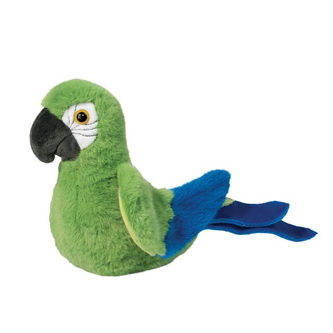 Jimmie Parrot - Tools 4 Teaching