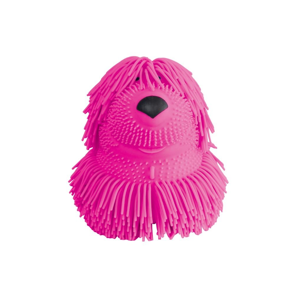 Shaggy Pups - Tools 4 Teaching