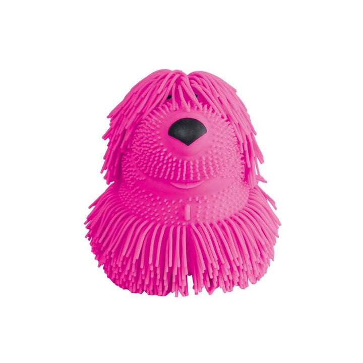 Shaggy Pups - Tools 4 Teaching