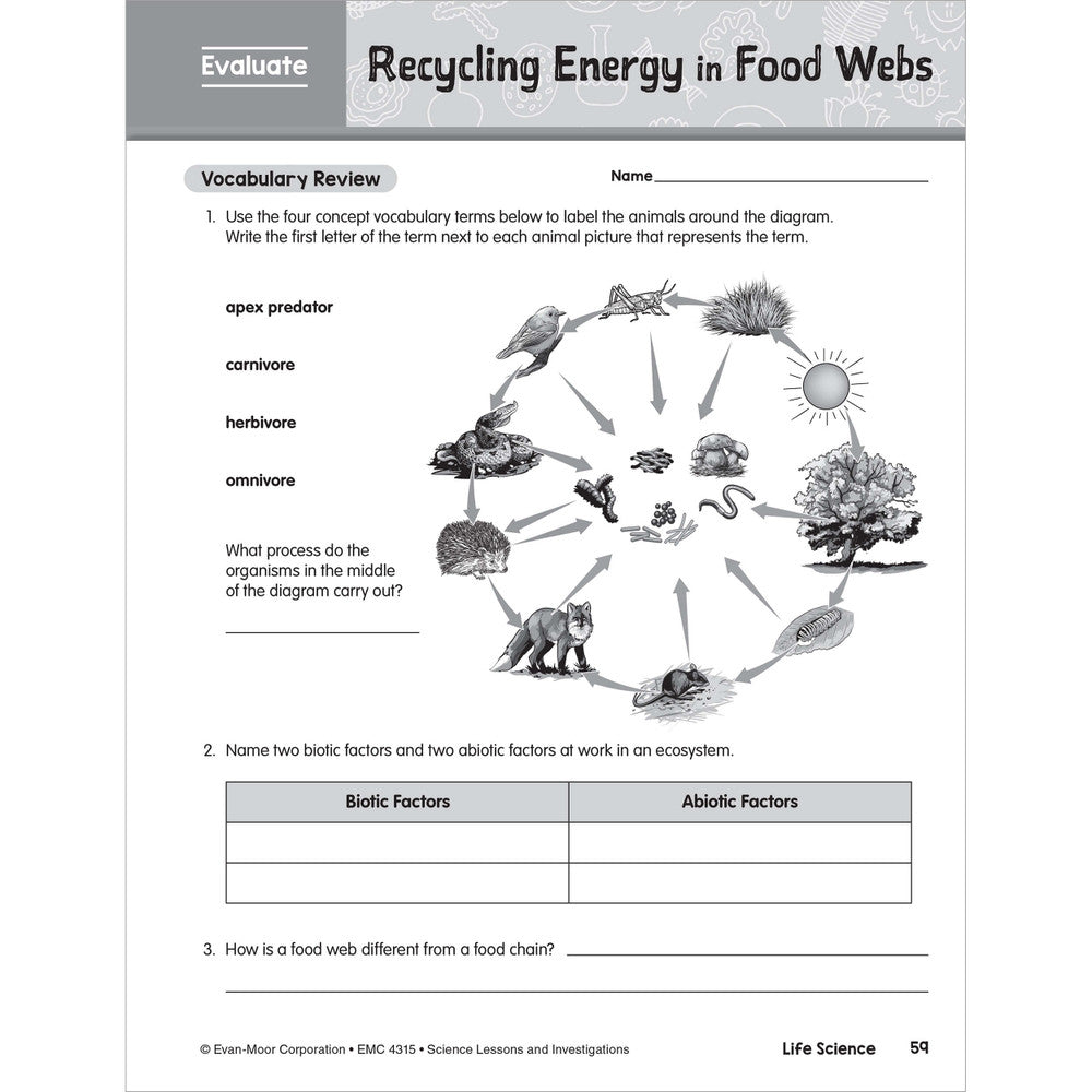 SCIENCE: Lessons and Investigations - Grade 5 Paperback - Tools 4 Teaching
