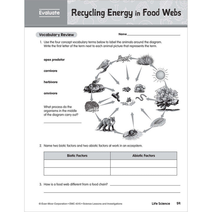 SCIENCE: Lessons and Investigations - Grade 5 Paperback - Tools 4 Teaching