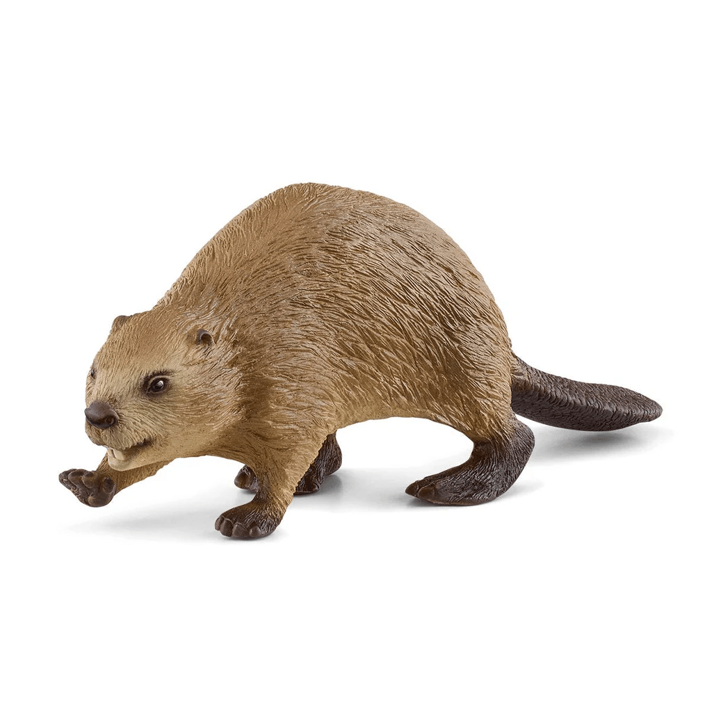 Beaver-Schleich USA-Tools 4 Teaching-Classroom Decor and More