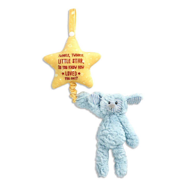 Musical Pull Toy - Puppy-Baby & Toddler-Tools 4 Teaching-Classroom Decor and More