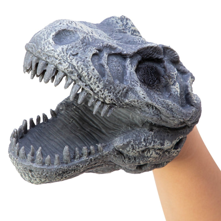 Dino Skull Hand Puppet-Fidgets-Tools 4 Teaching-Classroom Decor and More