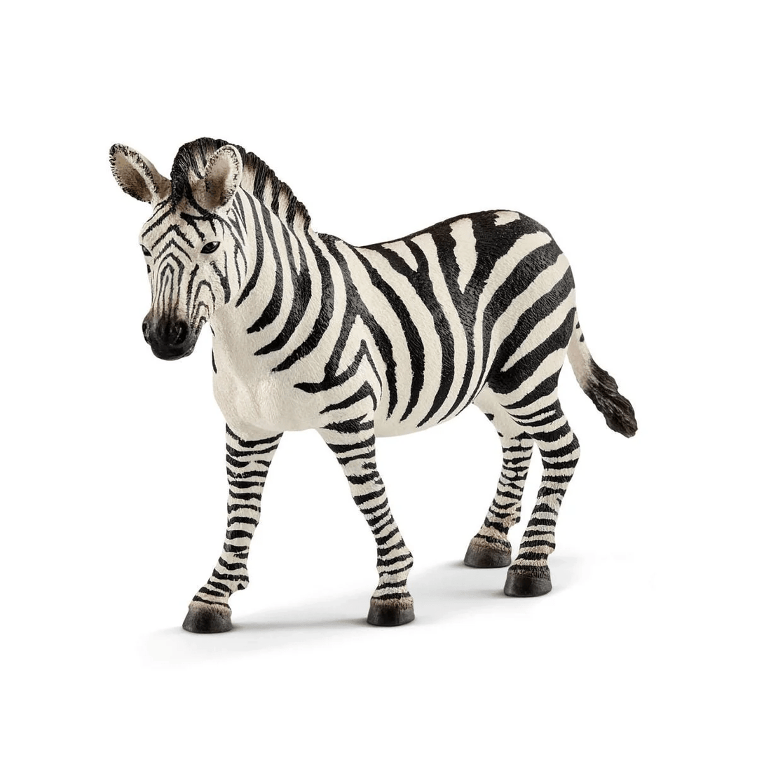 Zebra female-Schleich USA-Tools 4 Teaching-Classroom Decor and More