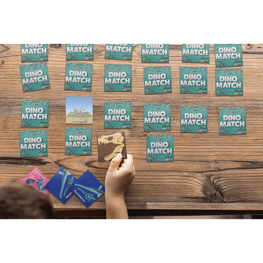 Dino Match Game-Games-Tools 4 Teaching-Classroom Decor and More