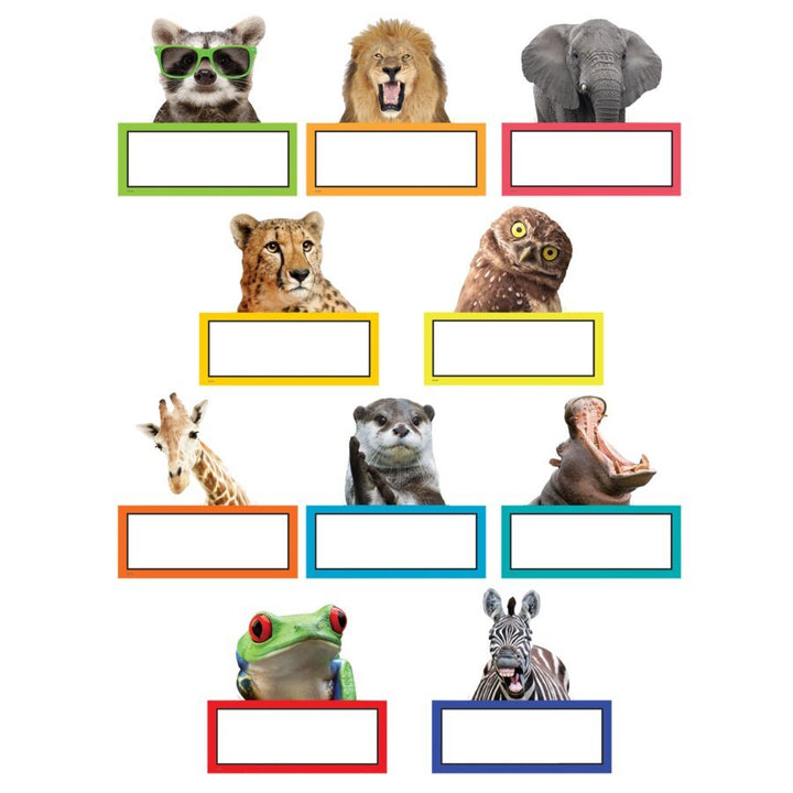 Go Wild Animals Accents-Accents-Tools 4 Teaching-Classroom Decor and More