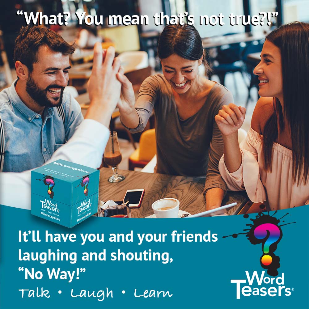 WordTeasers®: Misconceptions-Games-Tools 4 Teaching-Classroom Decor and More