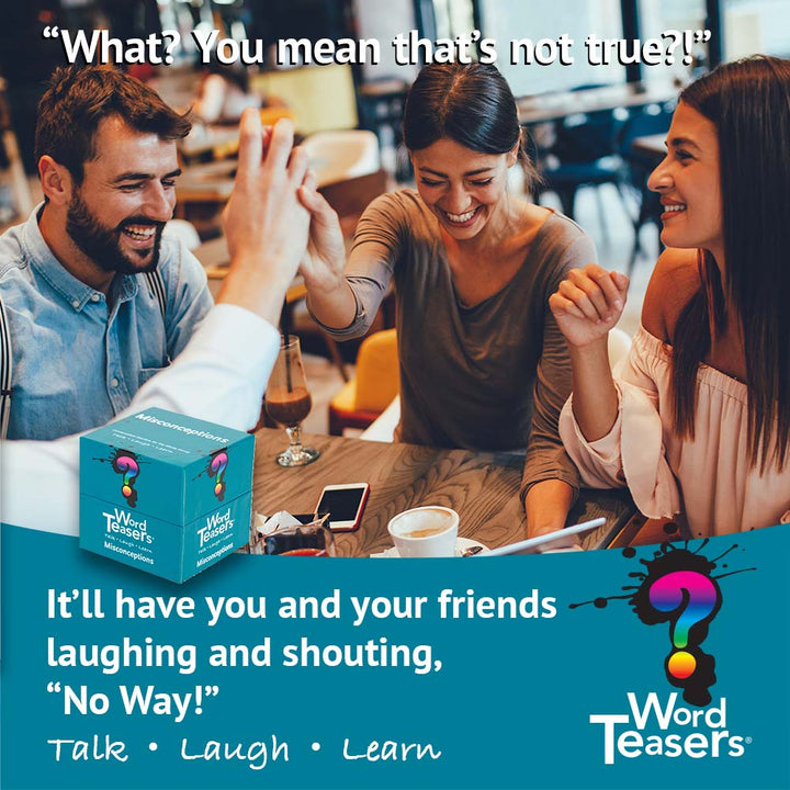 WordTeasers®: Misconceptions-Games-Tools 4 Teaching-Classroom Decor and More
