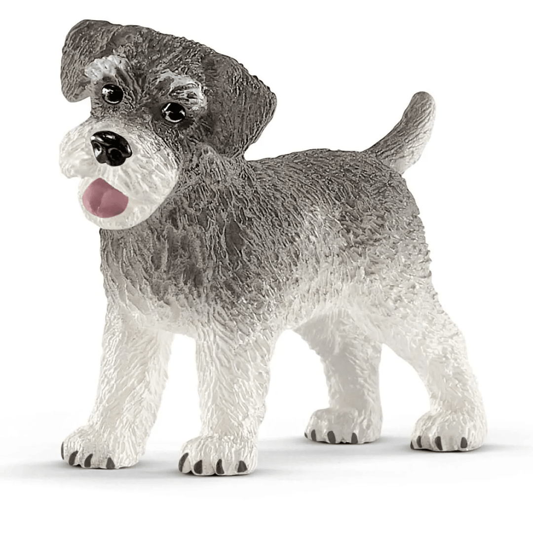 Miniature schnauzer-Schleich USA-Tools 4 Teaching-Classroom Decor and More