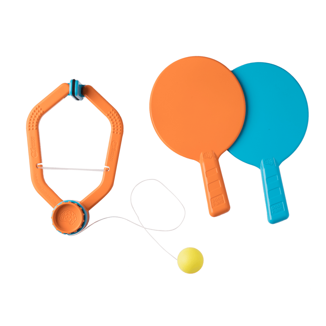 Door Pong-Games-Tools 4 Teaching-Classroom Decor and More