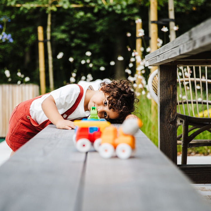 SmartMax My First Vehicles-Baby & Toddler-Tools 4 Teaching-Classroom Decor and More