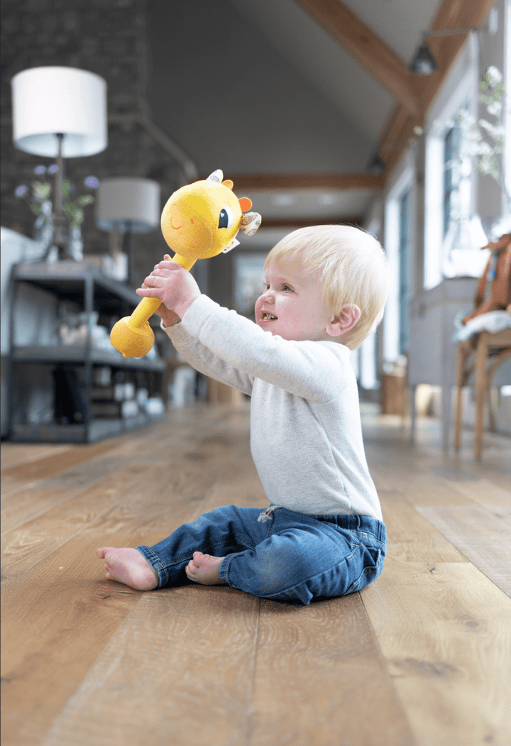 Lamaze Wacky Giraffe-Baby & Toddler-Tools 4 Teaching-Classroom Decor and More