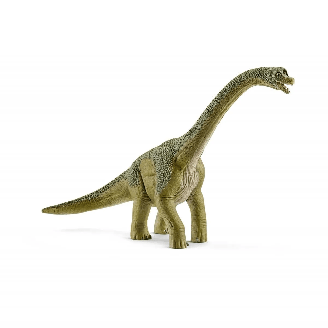 Brachiosaurus-Schleich USA-Tools 4 Teaching-Classroom Decor and More