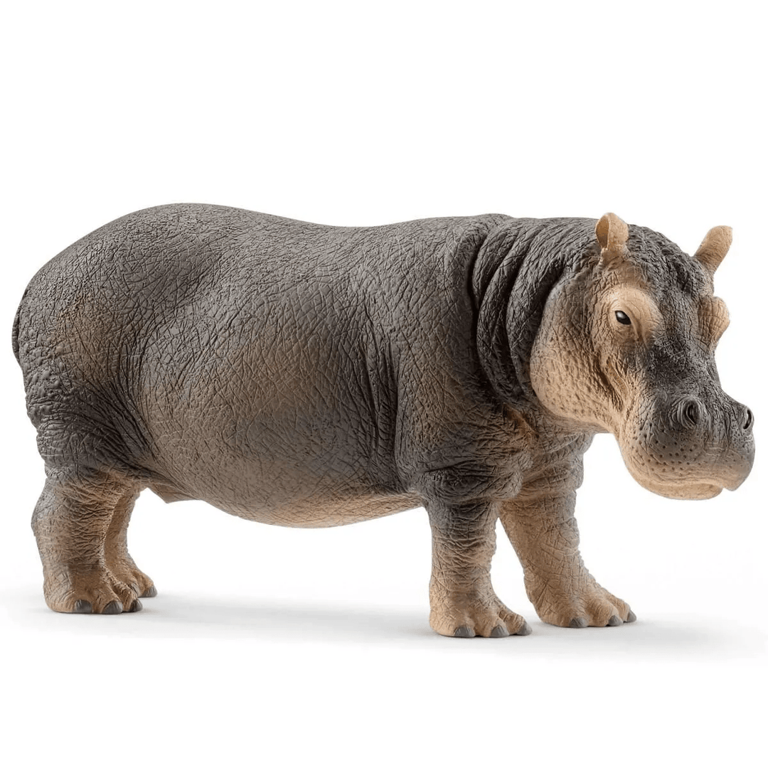 Hippopotamus-Schleich USA-Tools 4 Teaching-Classroom Decor and More