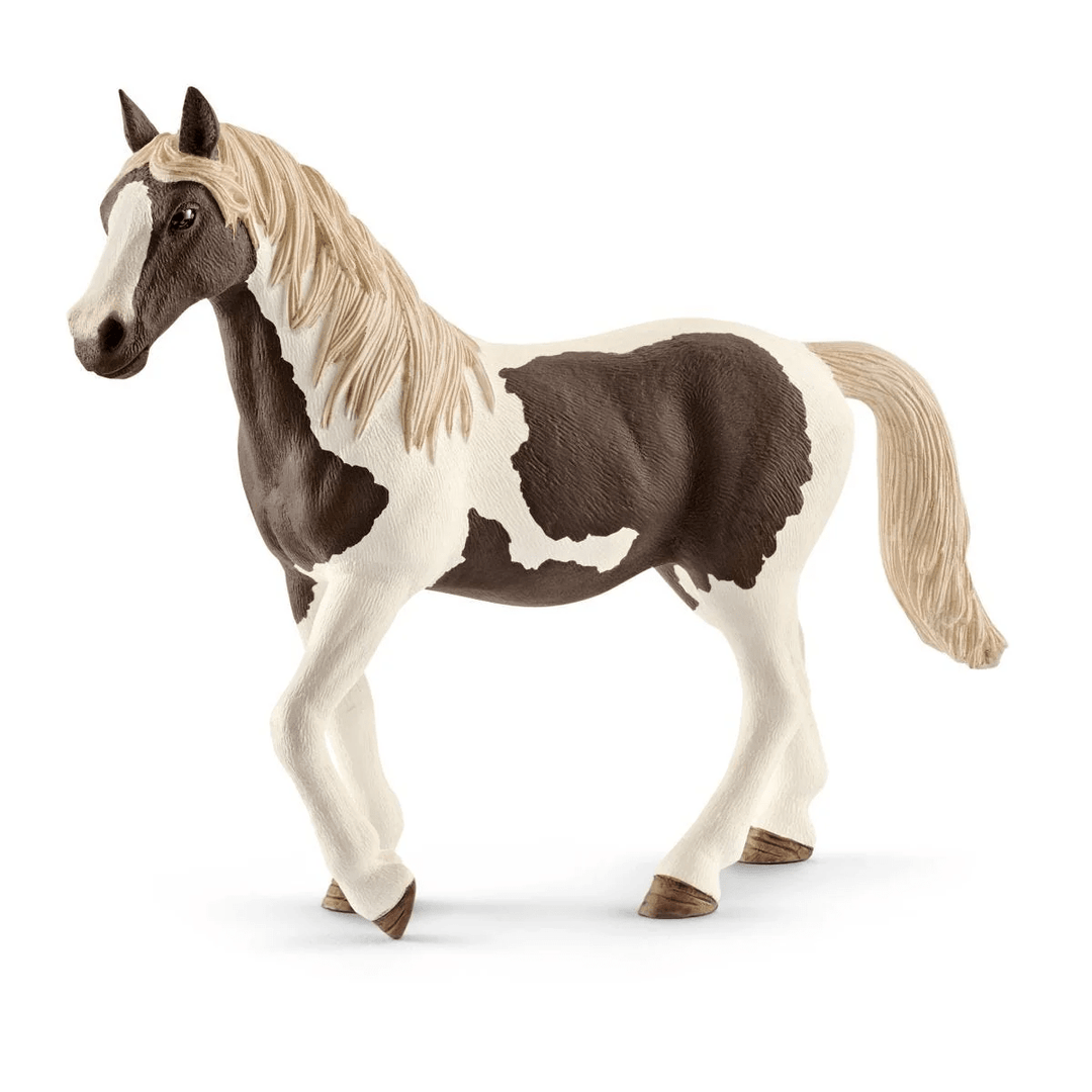 Pinto mare-Schleich USA-Tools 4 Teaching-Classroom Decor and More