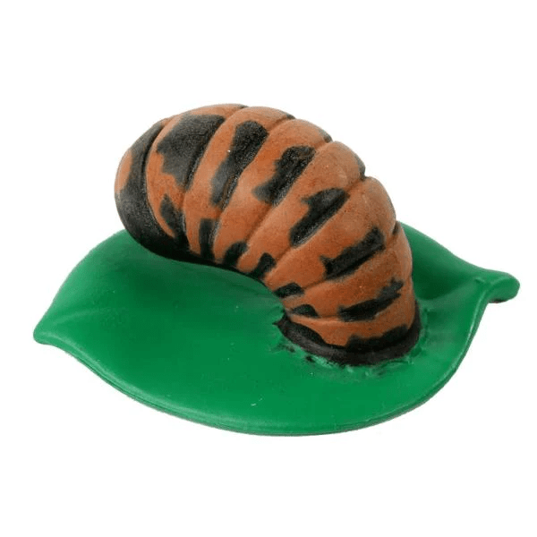 Ladybug Life Cycle Figurines-Science & STEM-Tools 4 Teaching-Classroom Decor and More