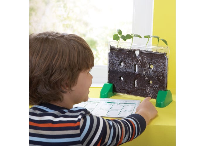 Sprout & Grow™ Window-Science & STEM-Tools 4 Teaching-Classroom Decor and More