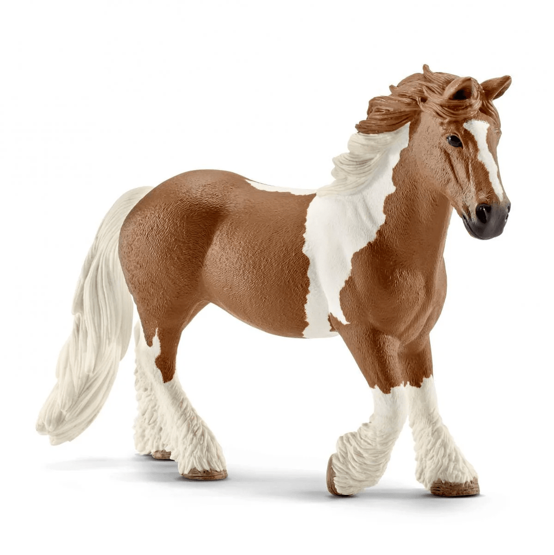 Tinker Mare-Schleich USA-Tools 4 Teaching-Classroom Decor and More