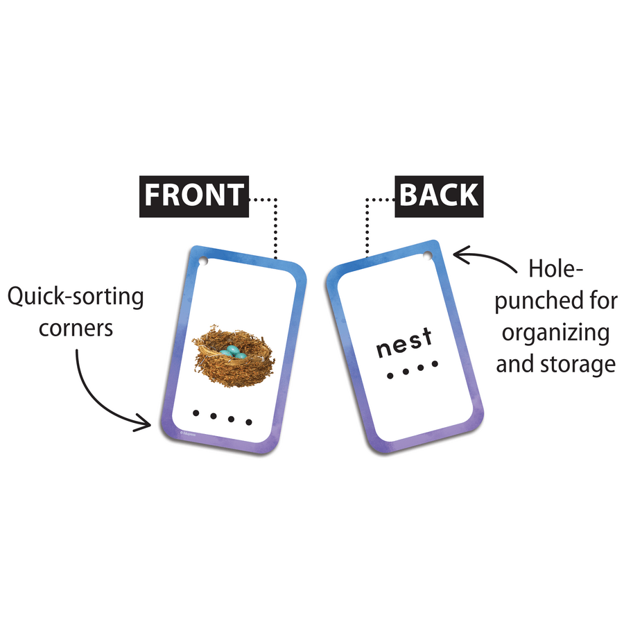 Decoding Words Flash Cards-Flashcards-Tools 4 Teaching-Classroom Decor and More