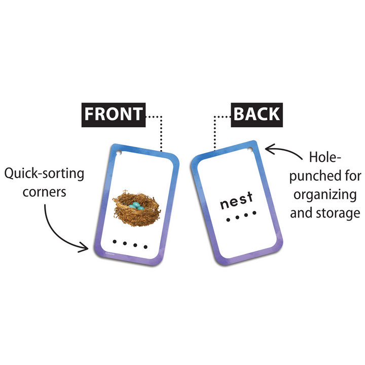 Decoding Words Flash Cards-Flashcards-Tools 4 Teaching-Classroom Decor and More