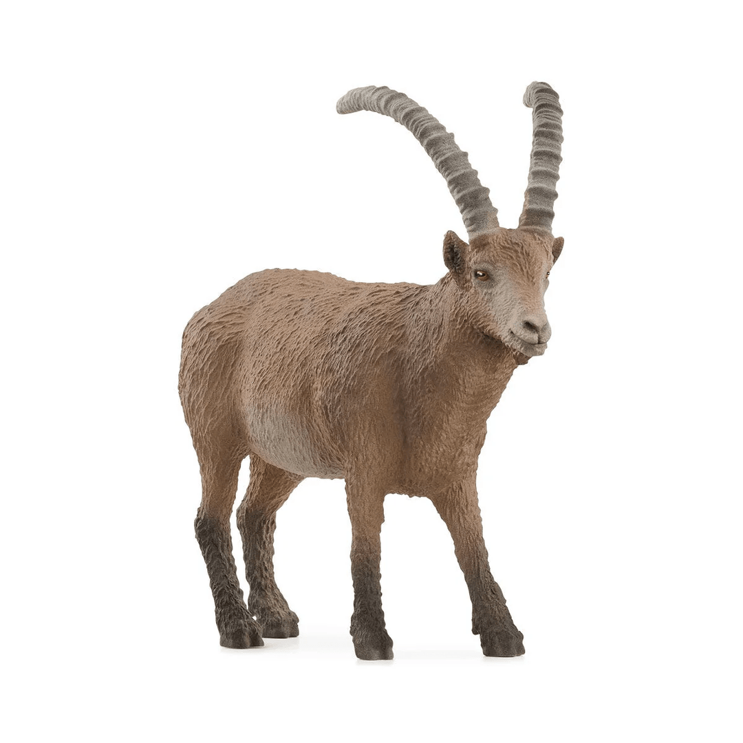 Ibex-Schleich USA-Tools 4 Teaching-Classroom Decor and More