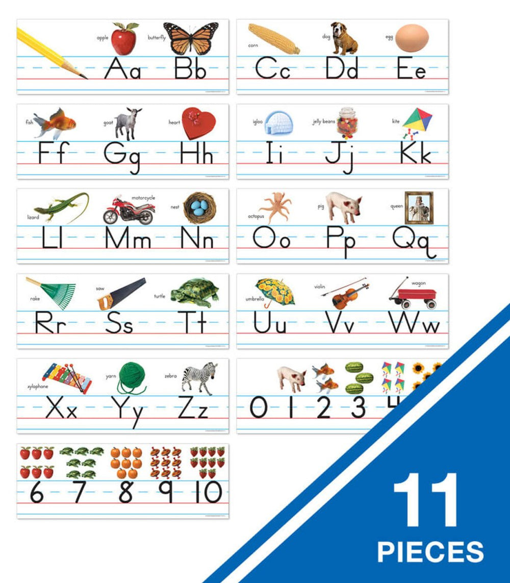 Traditional Manuscript Alphabet with Photographs Bulletin Board Set Grade PK-2-Bulletin Board Sets-Tools 4 Teaching-Classroom Decor and More