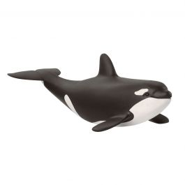 Baby Orca-Schleich USA-Tools 4 Teaching-Classroom Decor and More