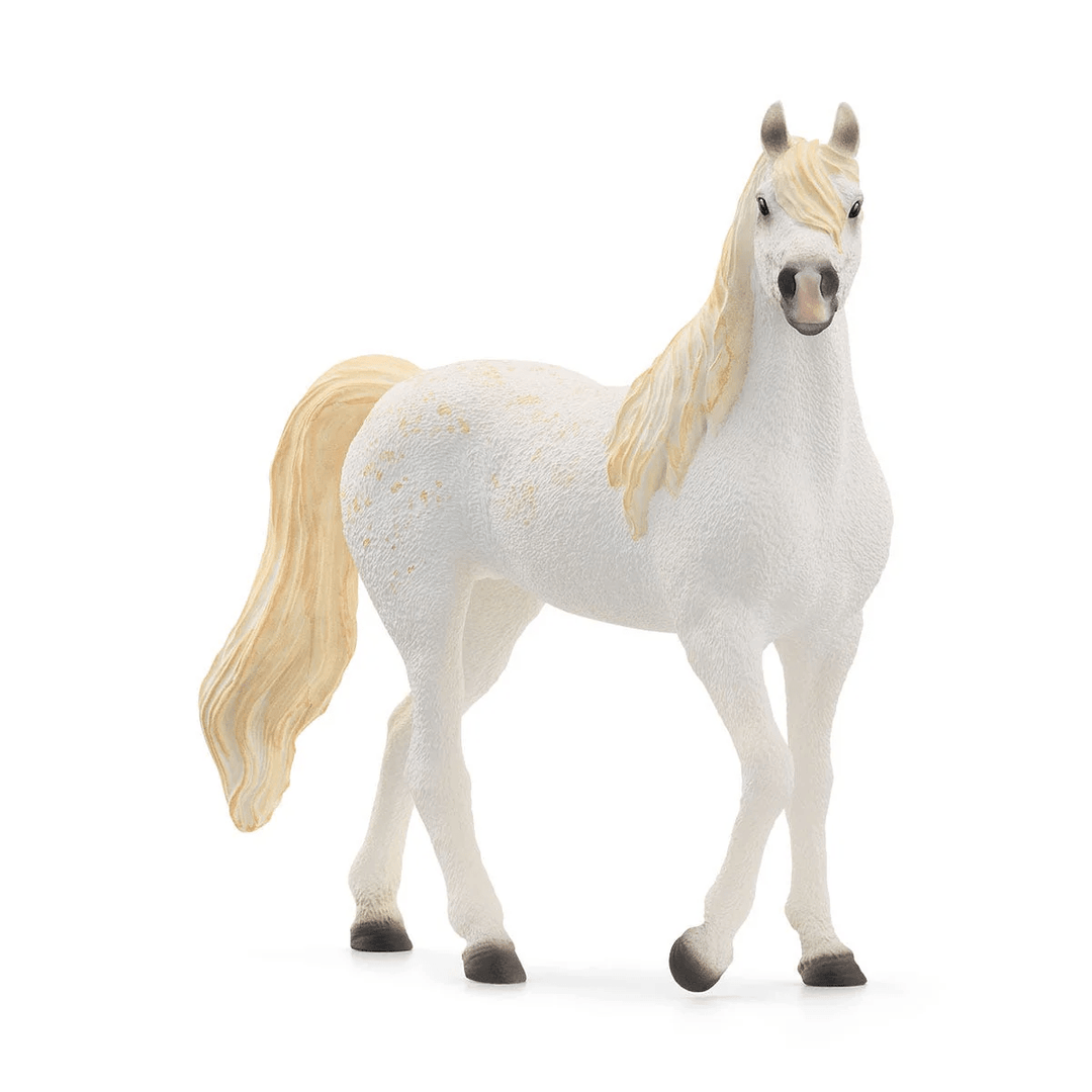 Arabian Mare-Schleich USA-Tools 4 Teaching-Classroom Decor and More
