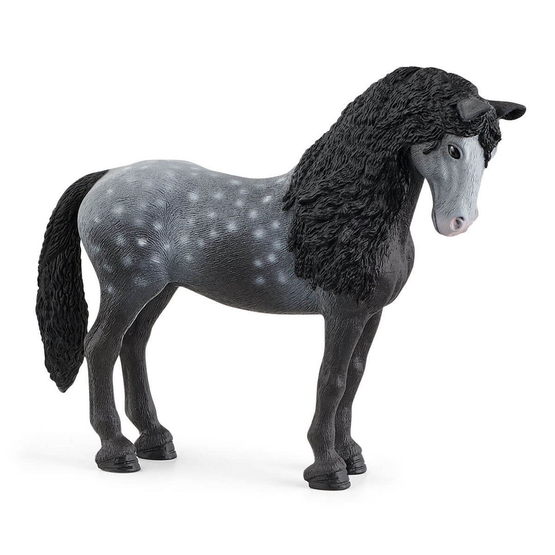 Pura Raza Española Mare-Schleich USA-Tools 4 Teaching-Classroom Decor and More