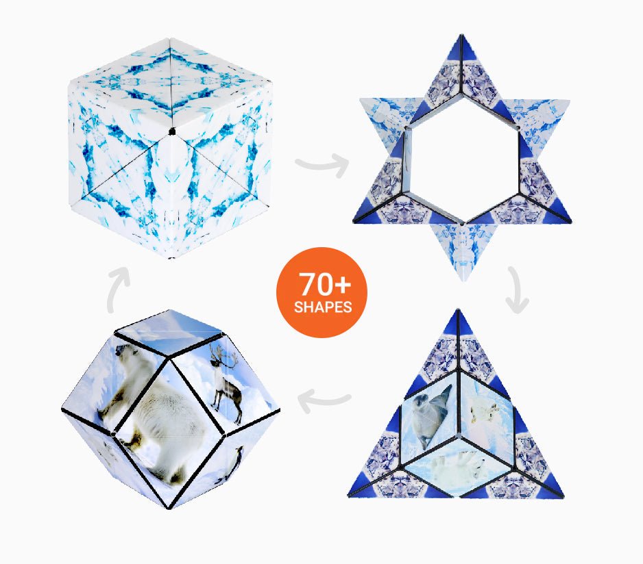 Shashibo Wild Series: Arctic-Fidgets-Tools 4 Teaching-Classroom Decor and More