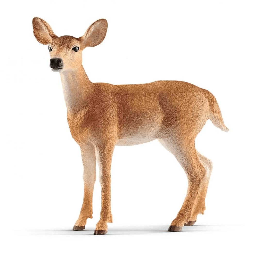 White-tailed doe-Schleich USA-Tools 4 Teaching-Classroom Decor and More
